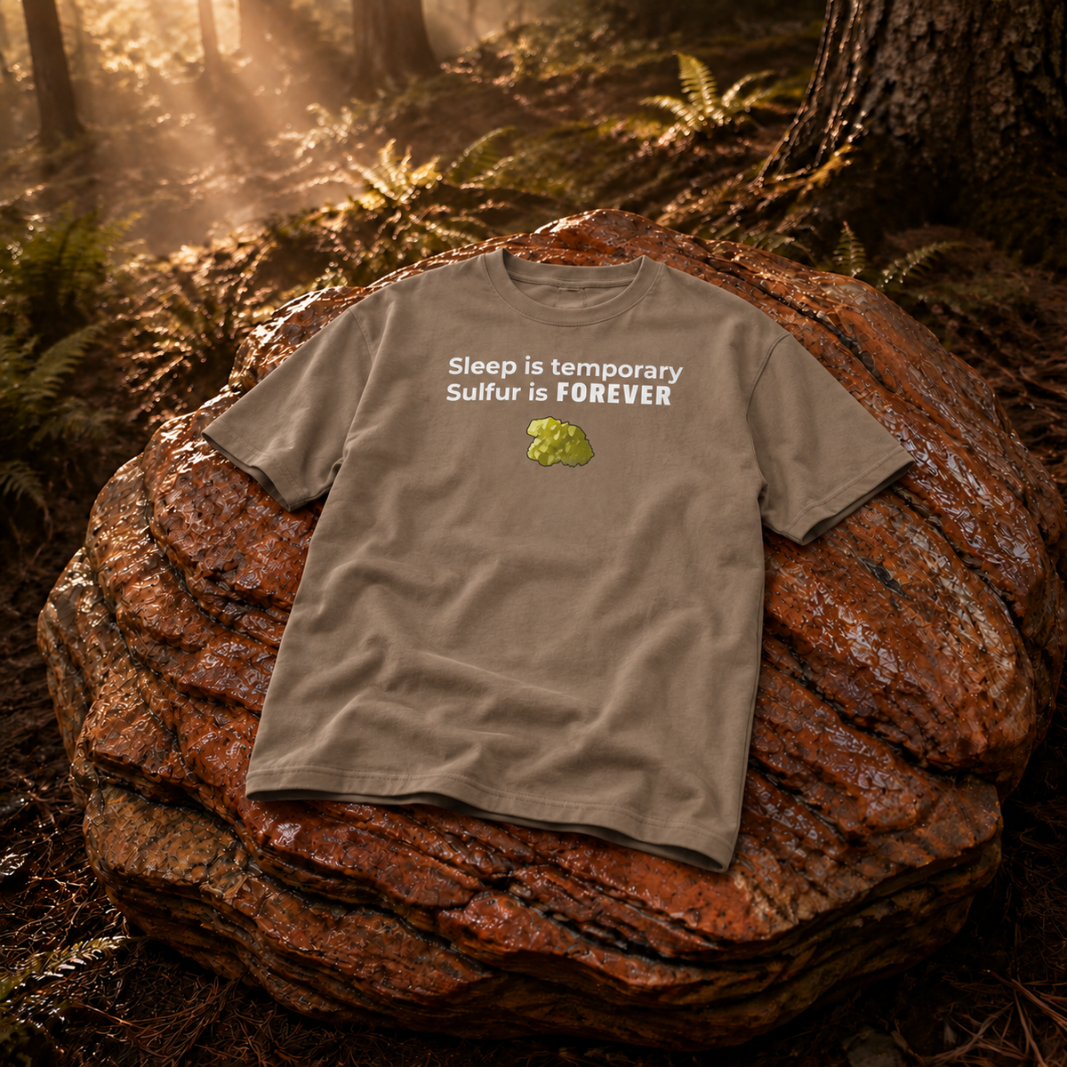 Rust Game Sulfur Is Temporary T-Shirt Offliner