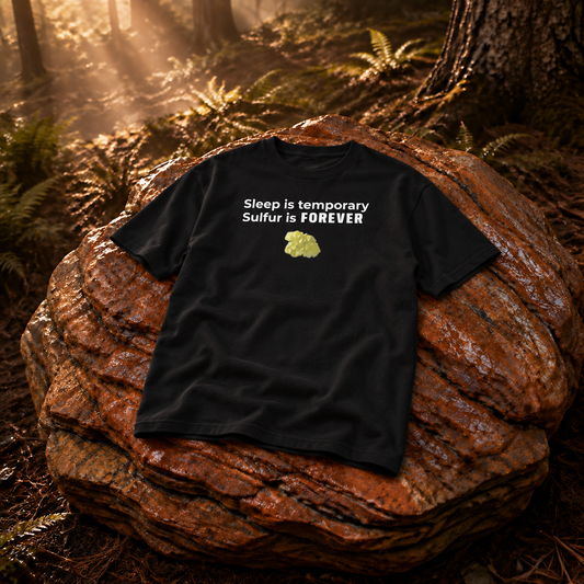 Rust Game Sulfur Is Temporary T-Shirt Offliner