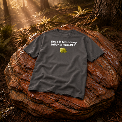 Rust Game Sulfur Is Temporary T-Shirt Offliner