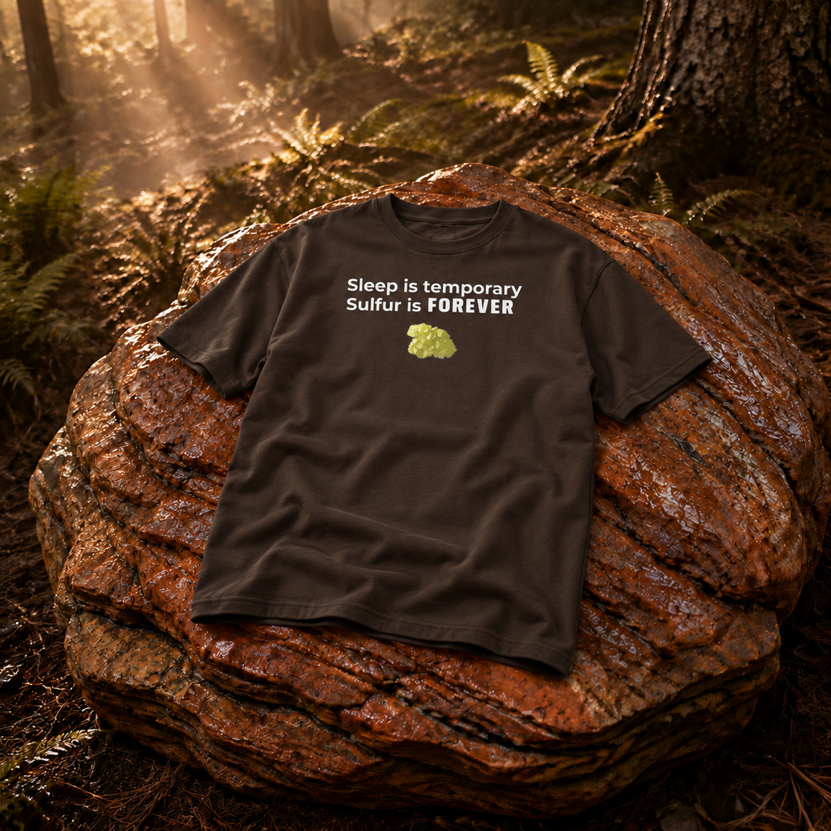 Rust Game Sulfur Is Temporary T-Shirt Offliner