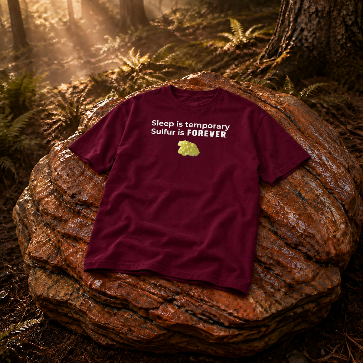 Rust Game Sulfur Is Temporary T-Shirt Offliner