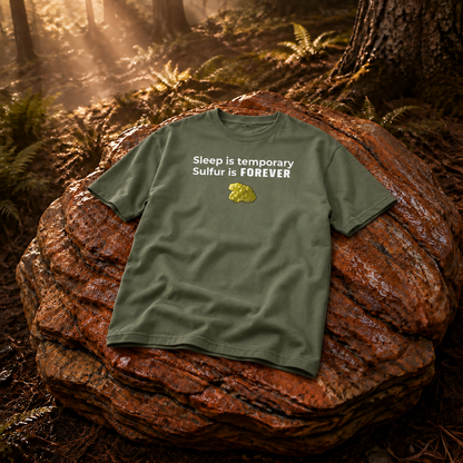 Rust Game Sulfur Is Temporary T-Shirt Offliner