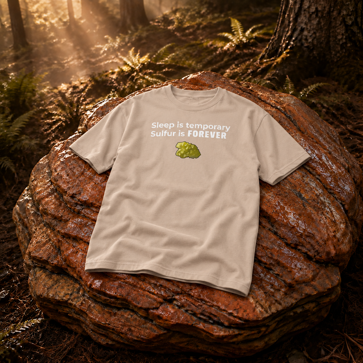 Rust Game Sulfur Is Temporary T-Shirt Offliner