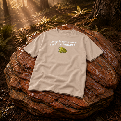 Rust Game Sulfur Is Temporary T-Shirt Offliner