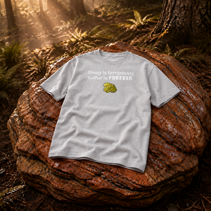 Rust Game Sulfur Is Temporary T-Shirt Offliner
